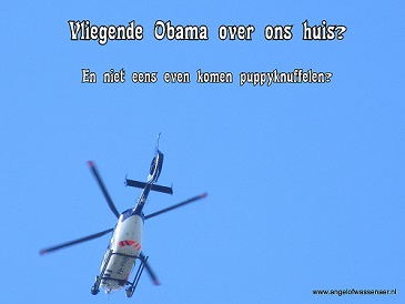 Vliegt Obama langs? Jammerr dat hij niet even komt puppy knuffelen, ze zijn nu zooooo leuk